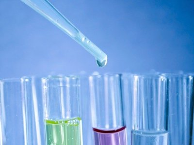 Due Diligence for&nbsp;Retailers